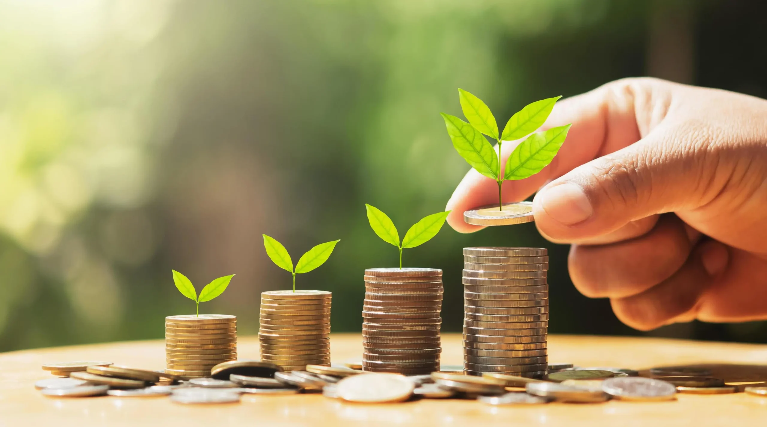 Investment Portfolio Account